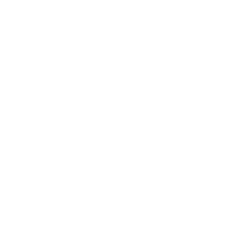 Orthodontic Treatment 